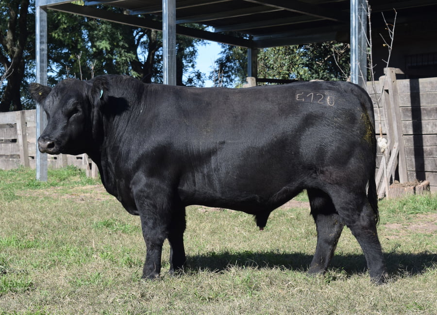 Lote CABAÑA “COEMBOTÁ” de Calderón RP 120