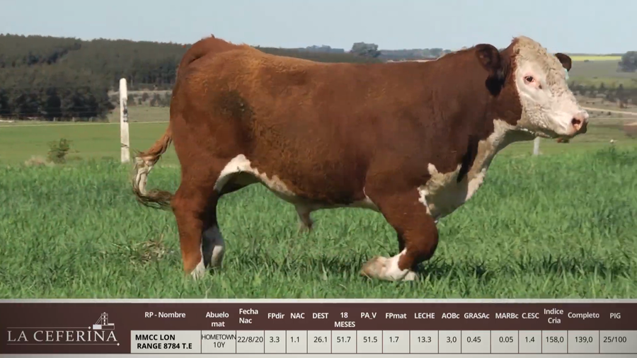 Lote MMCC LONG RANGE 8784 T.E.