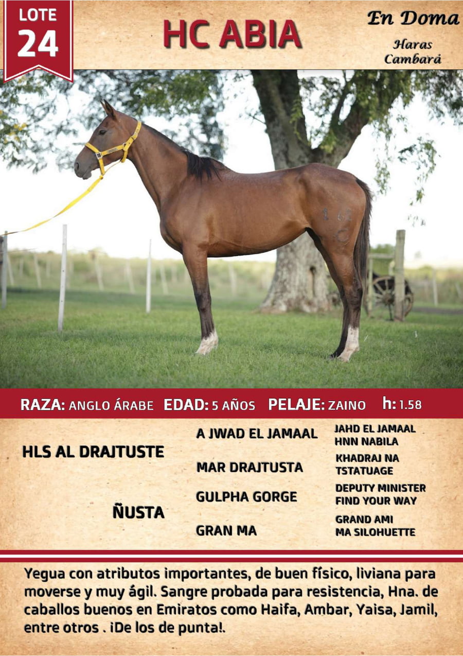 Lote HC ABIA