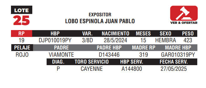 Lote LOTE 25 - JUNIOR
