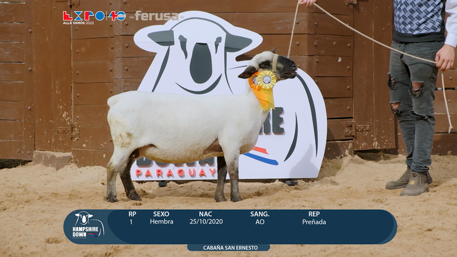 Lote LOTE 23 - BOZAL