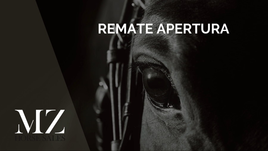 Lote ROVIA (ROMAN RULER - RICCHEZZA)