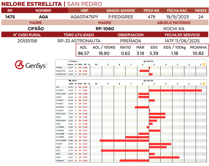Lote LOTE 33
