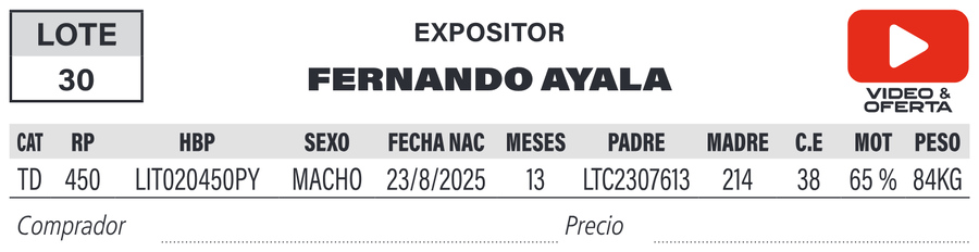 Lote LOTE 30