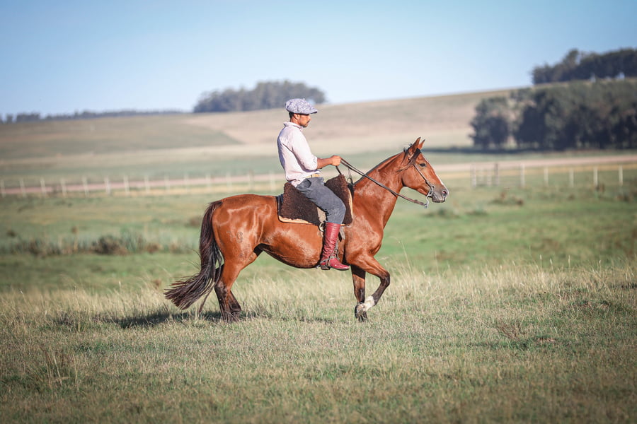 Lote Percanta La Magdalena