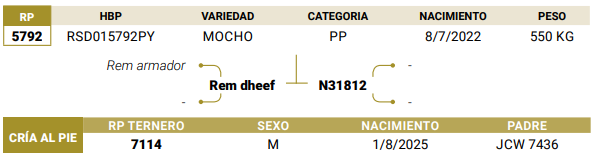 Lote LOTE 60