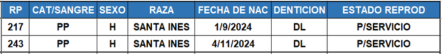 Lote LOTE 28