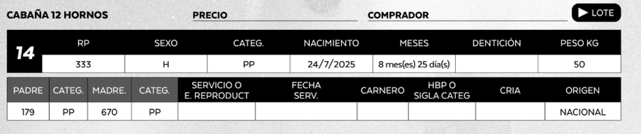 Lote LOTE 14