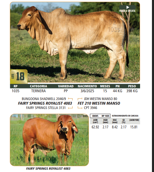 Lote LOTE 18