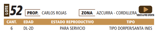 Lote LOTE 52 -POR PANTALLA