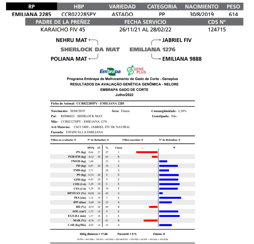 Lote LOTE 41- RP E2285