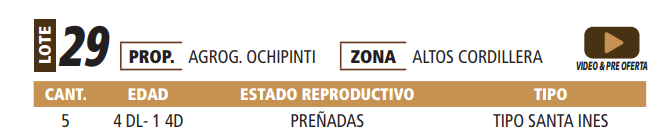 Lote LOTE 29 -POR PANTALLA