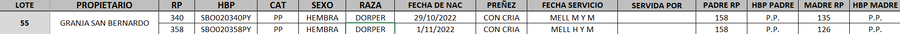 Lote LOTE 55- DESTACADO