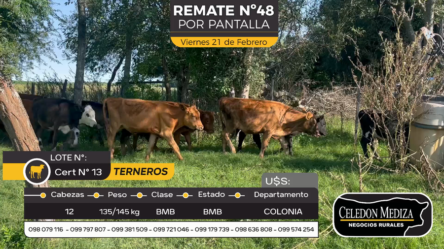Lote 12 Terneros en Otra Localidad, Colonia