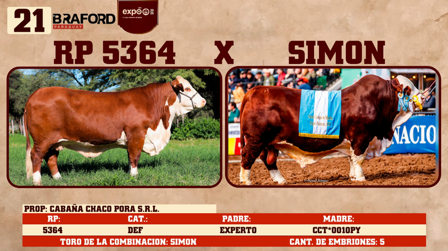 Lote LOTE 21