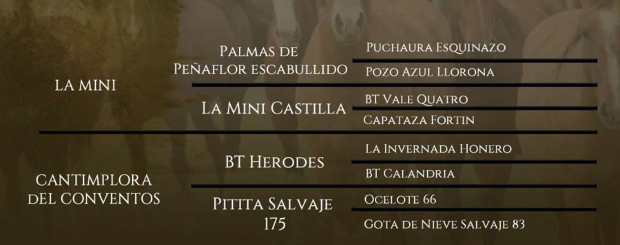 Lote Pipeta del Conventos