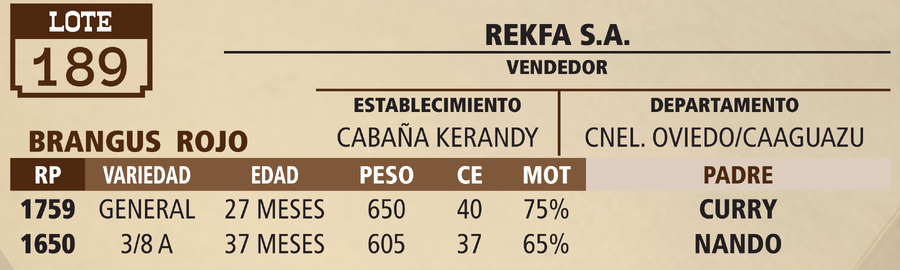 Lote LOTE 189 - VIVO
