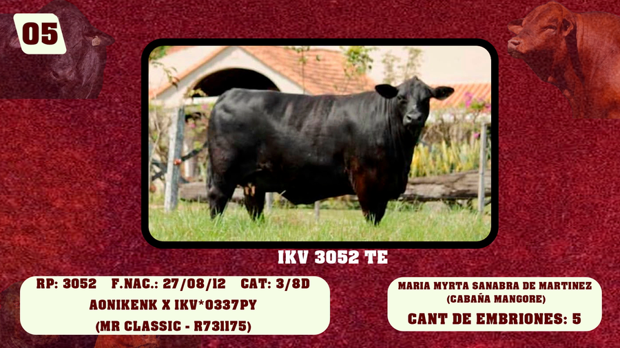 Lote LOTE 5