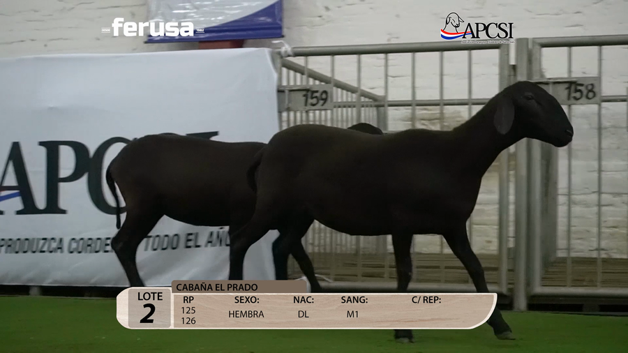 Lote Nacional Santa Inés Campo - Lote 2