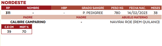 Lote LOTE 55