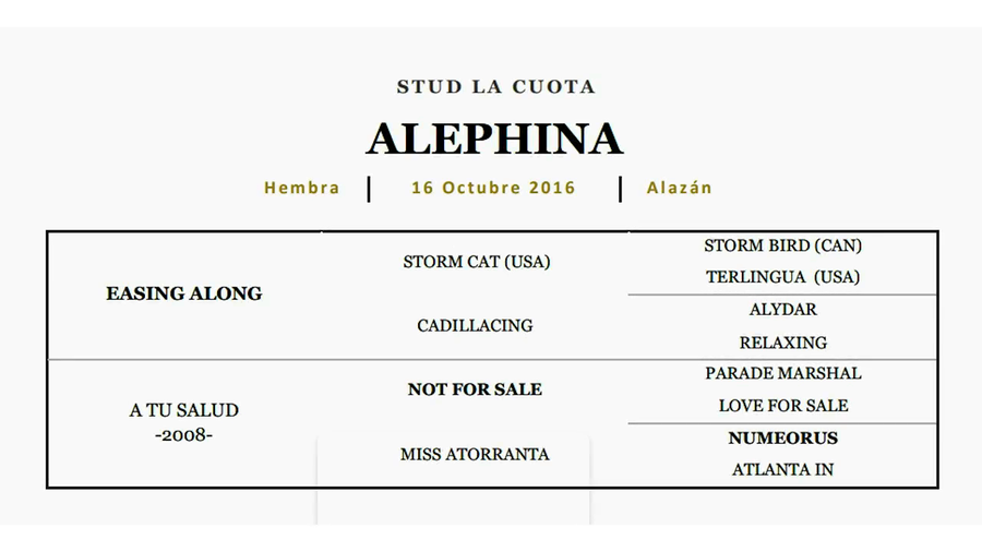 Lote ALEPHINA (EASING ALONG - A TU SALUD)