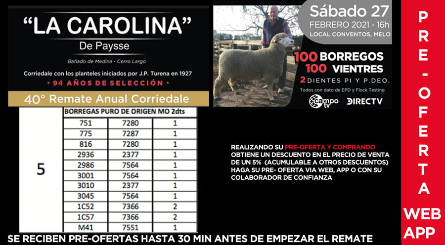 Lote 11 Borregas en Cerro Largo, Cerro Largo