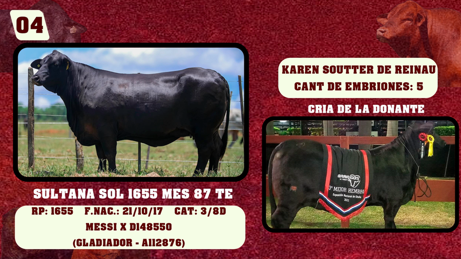 Lote LOTE 4