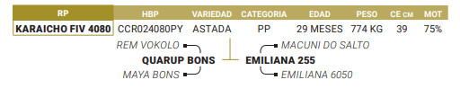 Lote LOTE 71