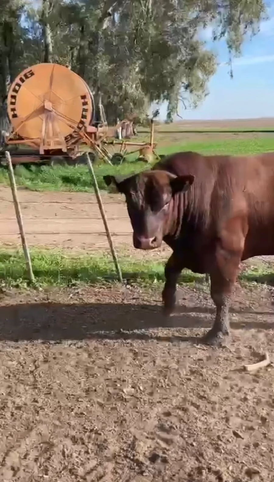 Lote Cabaña Don Tuco