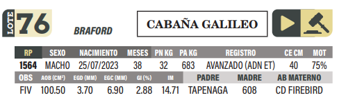 Lote LOTE 76