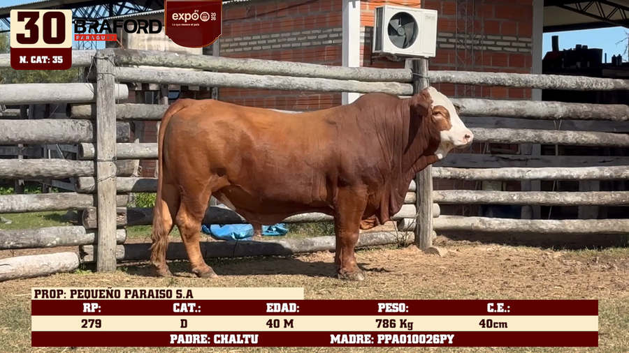Lote LOTE 30