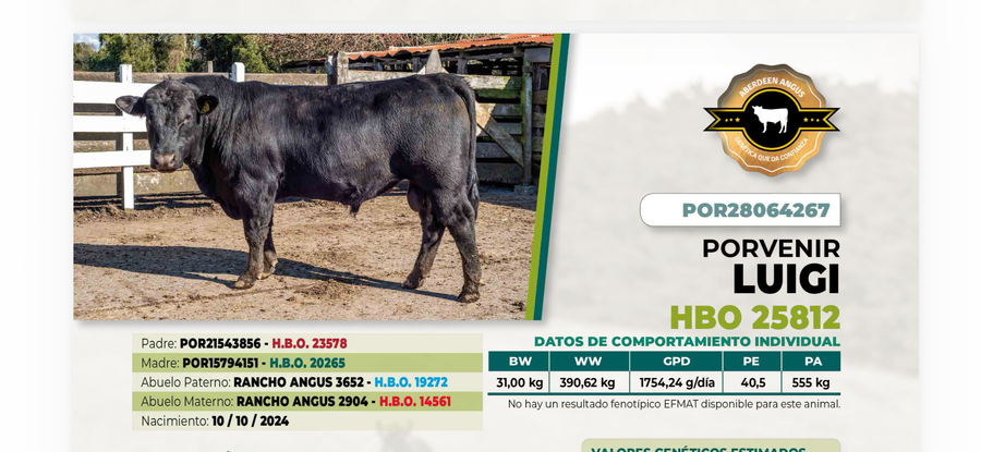 Lote 1 Toro LUIGI DIIO 4267