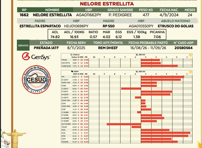 Lote LOTE 36