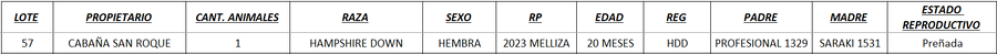 Lote LOTE 57