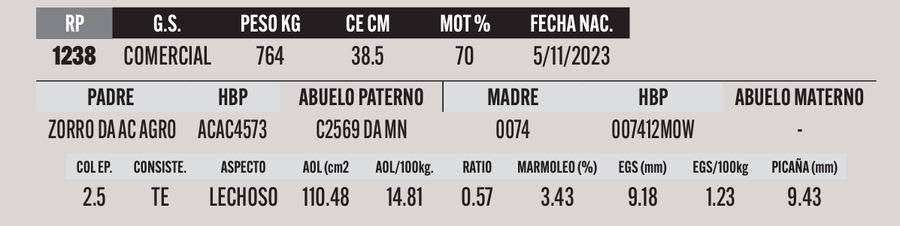 Lote LOTE 42