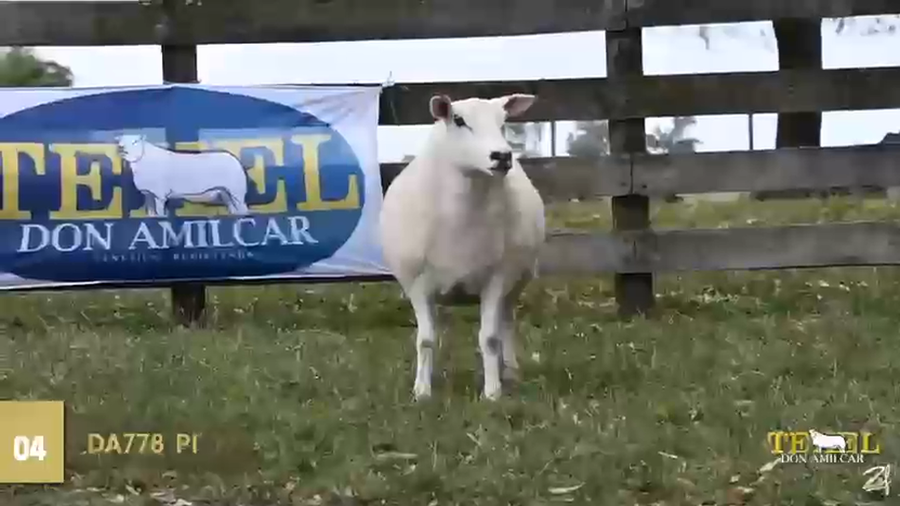 Lote Borregas a remate en Texel Don Amilcar y Villa Olivar, Cerro Largo