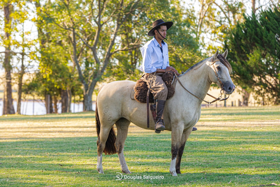 Lote ILUMINADA DE LA COLINA