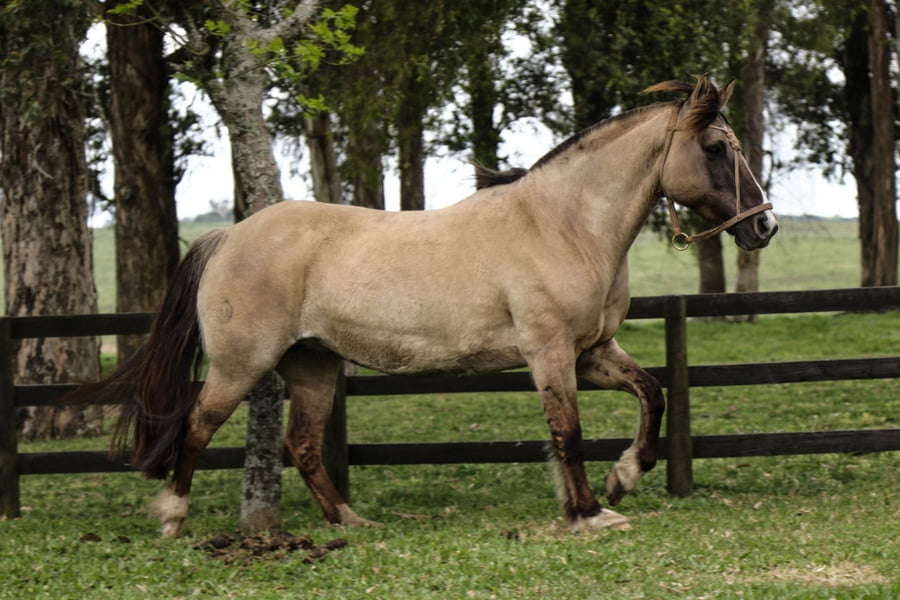 Lote Regalada V Maturrango (RP 05) - Cabaña "La Colmena"
