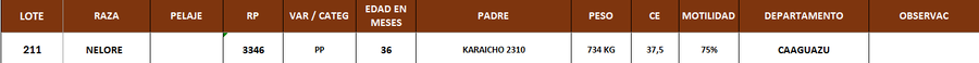 Lote LOTE 211