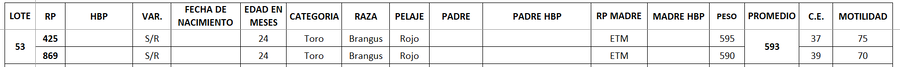 Lote LOTE 53