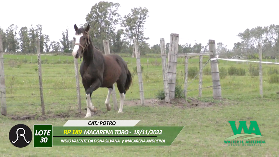 Lote MACARENA TORO