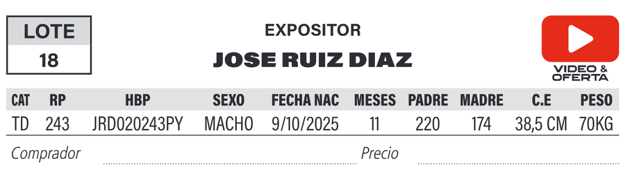 Lote LOTE 18