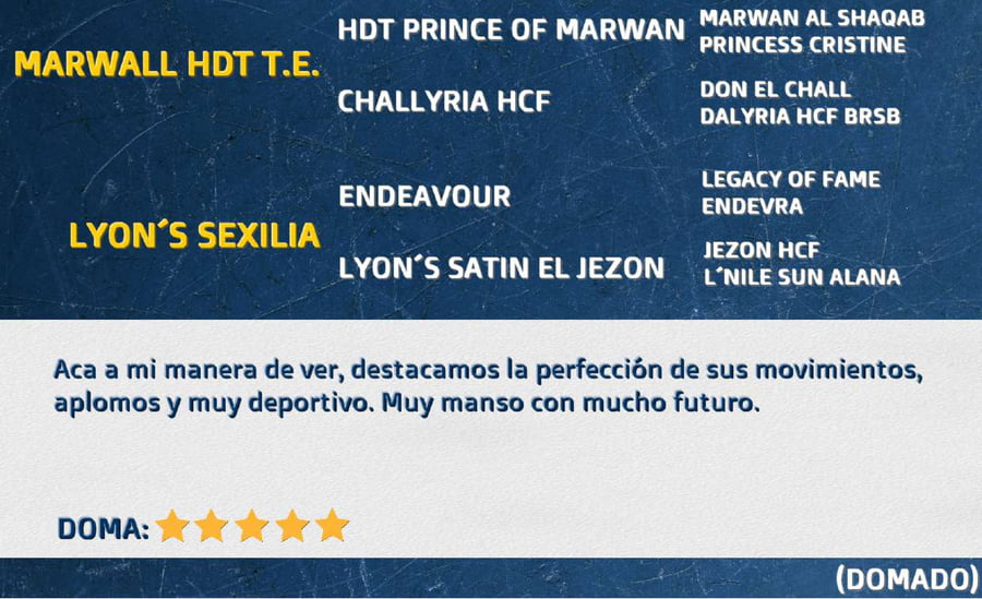 Lote FADAR COMISARIO