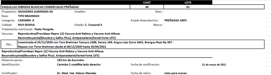 Lote Reproductores de Alborada - Lote 61