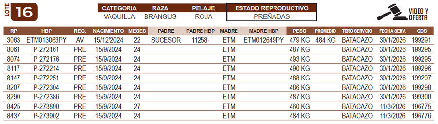 Lote LOTE 16