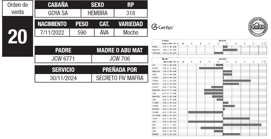 Lote LOTE 20