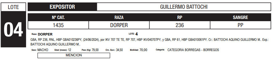 Lote LOTE 4