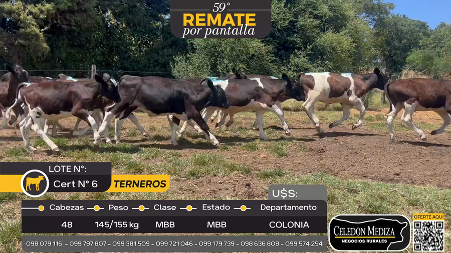 Lote 48 Terneros en Santa Ana, Colonia