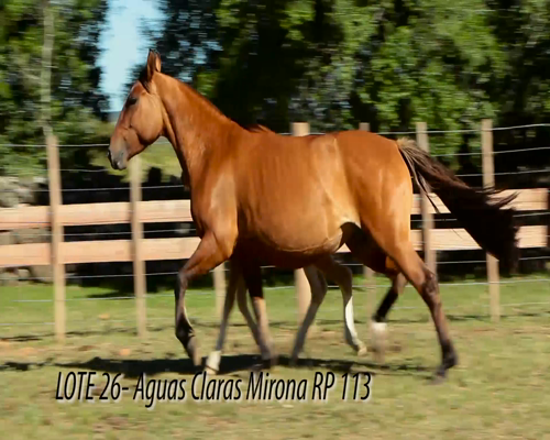 Lote AGUAS CLARAS MIRONA