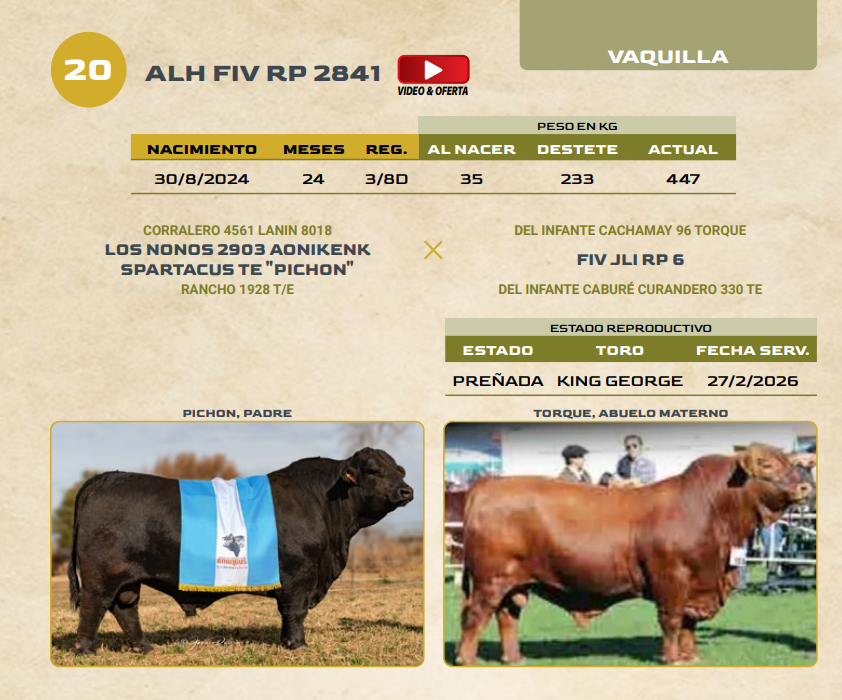 Lote LOTE 20